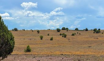 215 Gleed Station Rd Lot A 10 Acre, Ash Fork, AZ 86320
