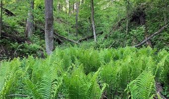 N3953-89 Bear Pen Road, Arkansaw, WI 54721