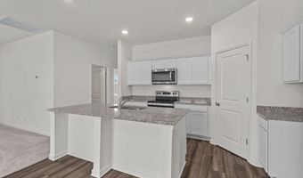 10540 Lesser Snow, Adkins, TX 78101