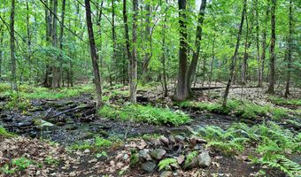 55 Dunlap Dr, Bedford, NH 03110