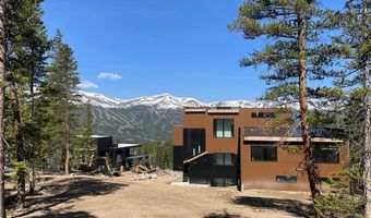 316 N FULLER PLACER Rd, Breckenridge, CO 80424