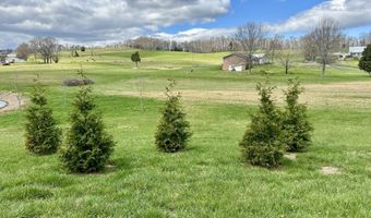 1600 Mary Lamons Rd, Afton, TN 37616