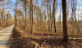 Muddy Ridge Rd, Adams, KY 41201