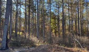 Hwy 9, Bruce, MS 38915