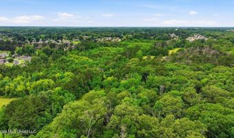 Vine Drive, Brandon, MS 39047