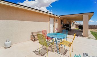 1213 Smedley Rd, Carlsbad, NM 88220