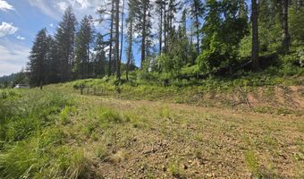 480 Dunn Peak Rd, Avery, ID 83802