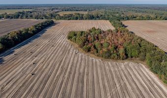 3431 Gladys Ct, Albany, GA 31705