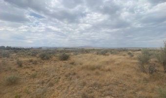 Lamoille Highway, Lamoille, NV 89828