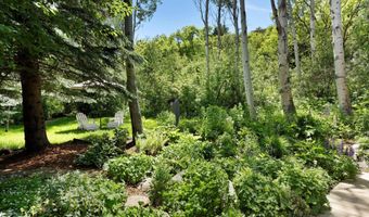 1145 Black Birch Dr, Aspen, CO 81611