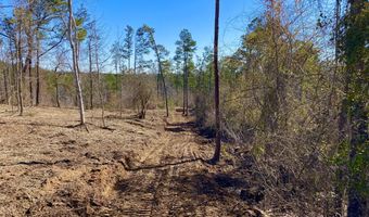 0 Adams Road - Lots 14 & 15 Lots, Bankston, AL 35542