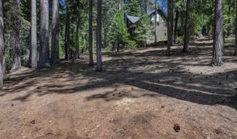 1934 Almaden Dr, Arnold, CA 95223