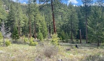 Nhn Mountain Vista Lane, Alberton, MT 59820
