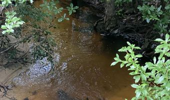 31 Acres Canyon Trl, Baker, FL 32531