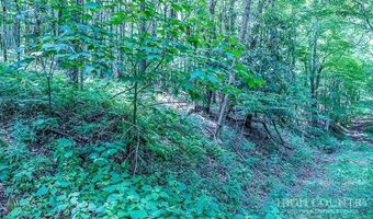 218 Old Mountain Rd, Banner Elk, NC 28604