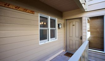 825 E Hopkins Ave 2S, Aspen, CO 81611