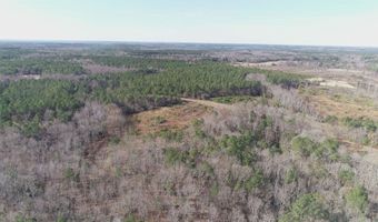Buckhead Rd, Blair, SC 29015