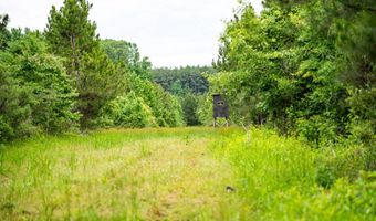 7399 Amon Hill Rd, Bastrop, LA 71220