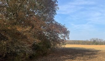 FM 44, Annona, TX 75550