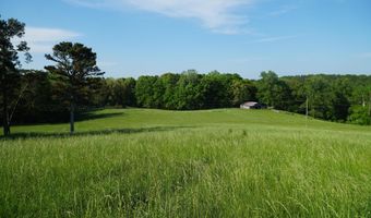 339 MCNUTT Rd, Bear Creek, AL 35543
