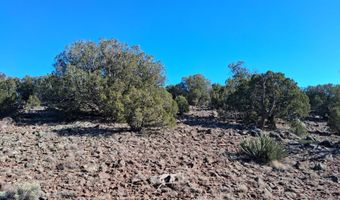 201-32 006, Concho, AZ 85924