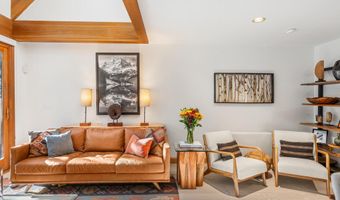 326 W Hopkins Ave, Aspen, CO 81611