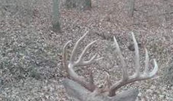 652 Nd St, Albia, IA 52531