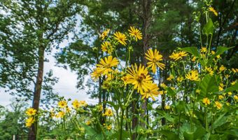 1260 N Lawrence Hollow Dr, Bloomfield, IN 47424