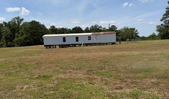 916 NE Robinson Rd - Tract 2, Barney, GA 31625