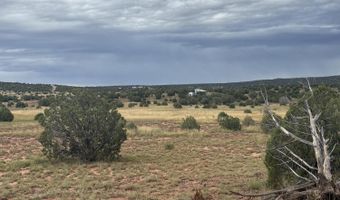 N8485, Concho, AZ 85924