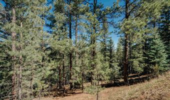 Snowmass Rd lot 9, Angel Fire, NM 87710