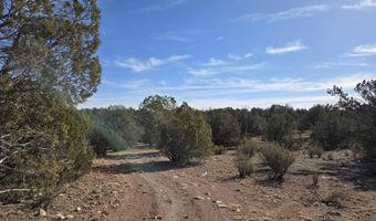 376 D Haywire, Ash Fork, AZ 86320