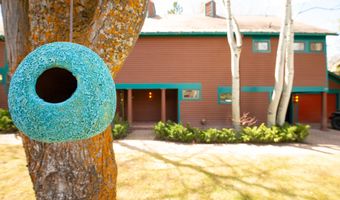 925 W North St, Aspen, CO 81611