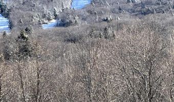 36 Lodge Rd D102, Lincoln, NH 03251