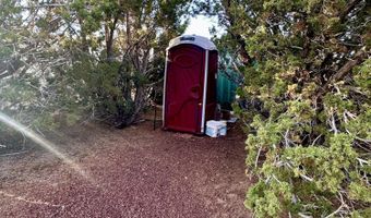 47 County Road 8306, Concho, AZ 85924