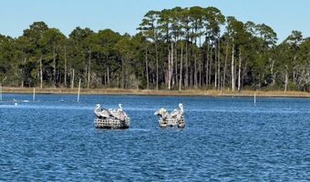 1187 Alligator Dr, Alligator Point, FL 32346