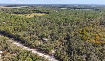 7639 6th St, Bell, FL 32619