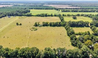 232 344 County Road 344, Bell, FL 32619