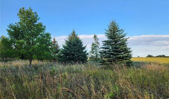 2051 120th St, Balaton, MN 56115