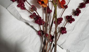 4775 S 50th Rd, Aldrich, MO 65601