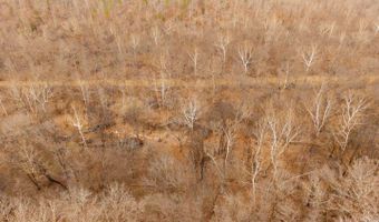 County Road 19-A, Alton, MO 65606