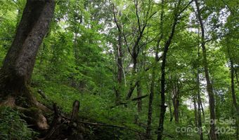 Killdevil Hill Lane unit 9 & 10 9 & 10, Bat Cave, NC 28792