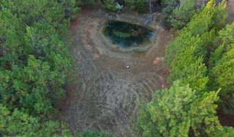 1660 FEDDISBURG Rd, Alpine, AL 35014