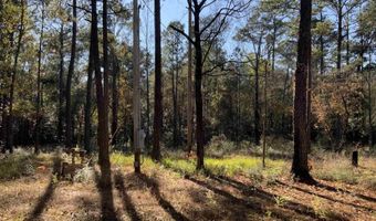 10 Drinkard Rd, Bay Minette, AL 36507