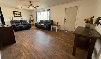 6850 Ohio Rd, Anton, TX 79313