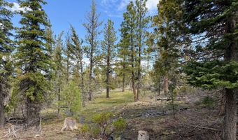 0 Yellowjacket Springs Rd, Beatty, OR 97621