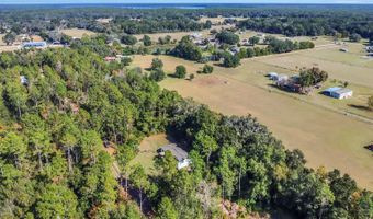 42312 WEBSTER St, Altoona, FL 32702