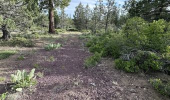 Porpoise Lane Lot 29, Bonanza, OR 97623