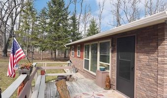 4084 N Weasel Trl, Alcona, MI 48742