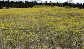 Tower Ridge Rd, Devils Tower, WY 82714